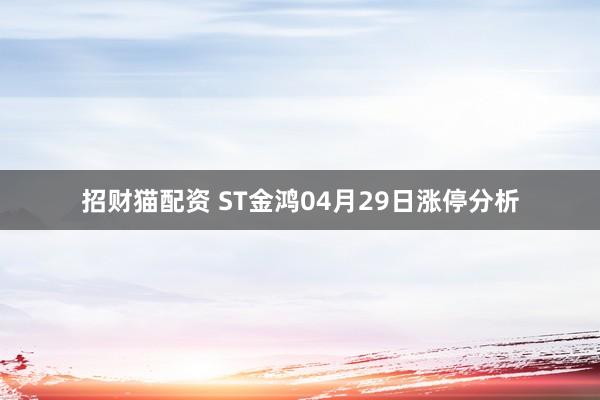 招财猫配资 ST金鸿04月29日涨停分析