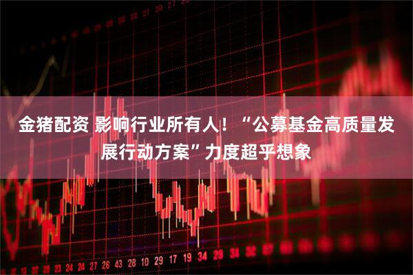 金猪配资 影响行业所有人！“公募基金高质量发展行动方案”力度超乎想象