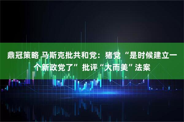 鼎冠策略 马斯克批共和党：猪党 “是时候建立一个新政党了” 批评“大而美”法案