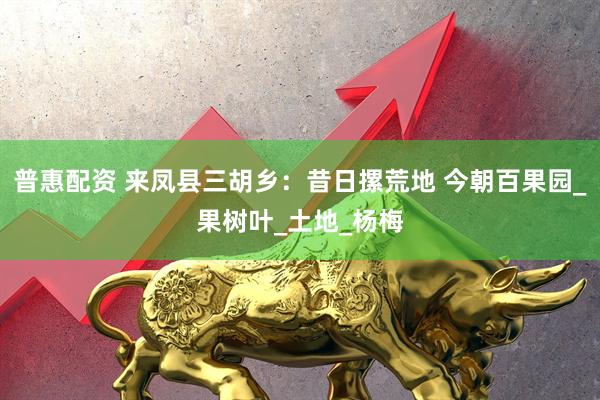 普惠配资 来凤县三胡乡：昔日摞荒地 今朝百果园_果树叶_土地_杨梅