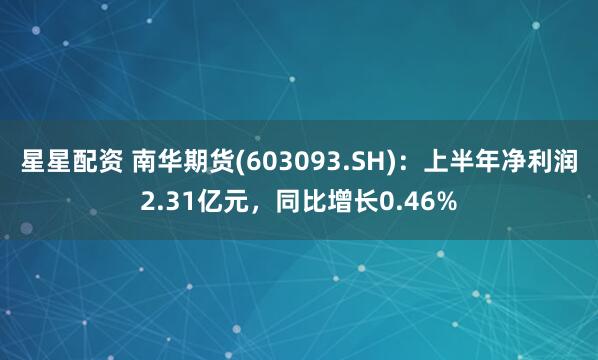 星星配资 南华期货(603093.SH)：上半年净利润2.31亿元，同比增长0.46%