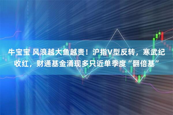 牛宝宝 风浪越大鱼越贵！沪指V型反转，寒武纪收红，财通基金涌现多只近单季度“翻倍基”