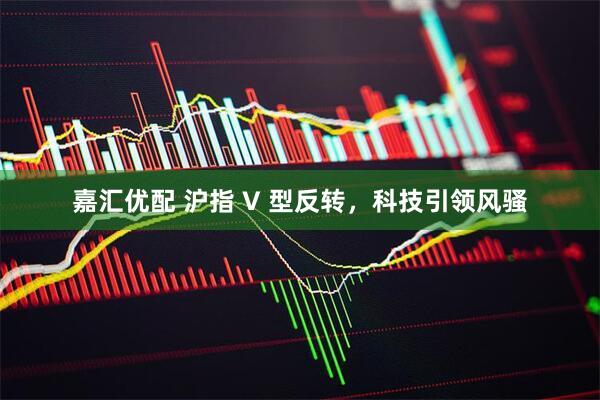 嘉汇优配 沪指 V 型反转，科技引领风骚