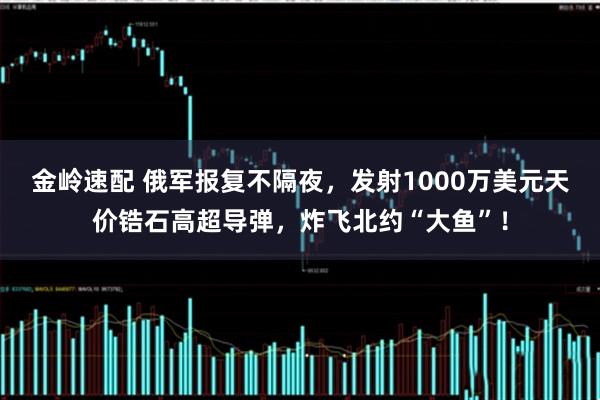 金岭速配 俄军报复不隔夜，发射1000万美元天价锆石高超导弹，炸飞北约“大鱼”！