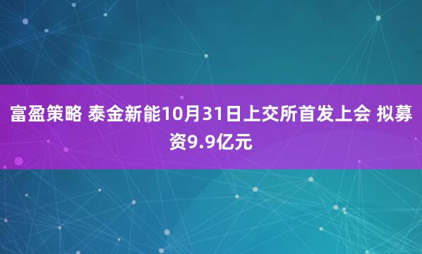 富盈策略 泰金新能10月31日上交所首发上会 拟募资9.9亿元