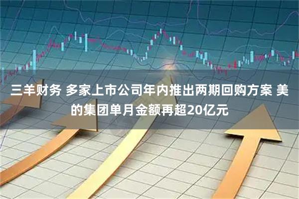三羊财务 多家上市公司年内推出两期回购方案 美的集团单月金额再超20亿元